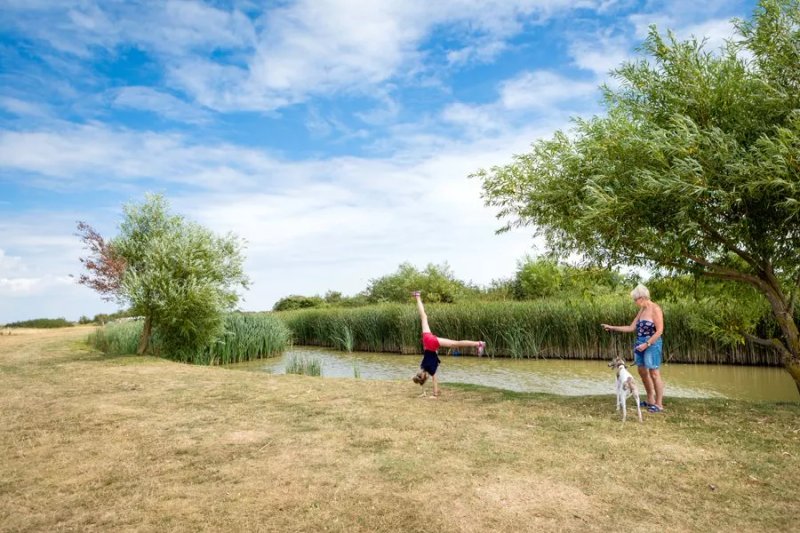 Steeple Bay Holiday Park