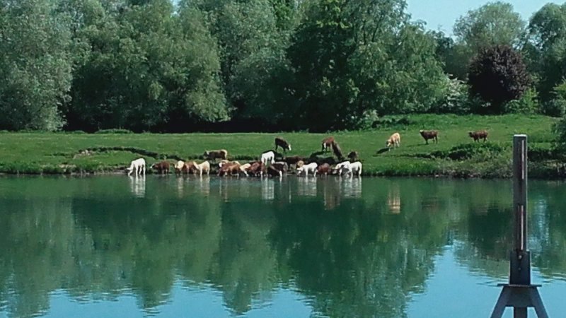 Guinguette L'Eau a La Bouche