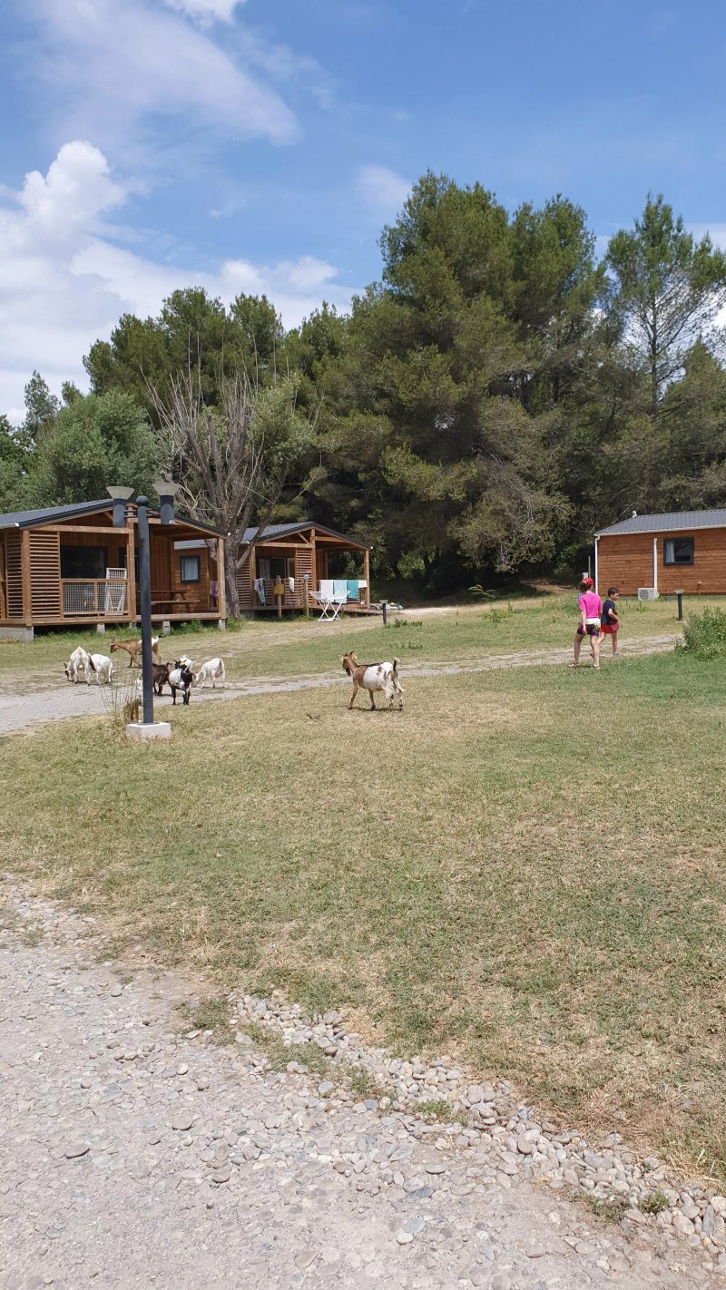 Camping Le Vallon Des Cigales