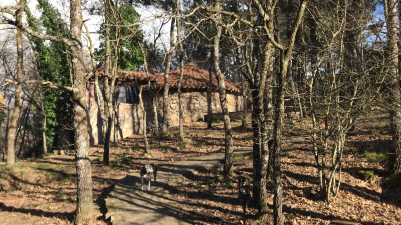 Casa Crisol