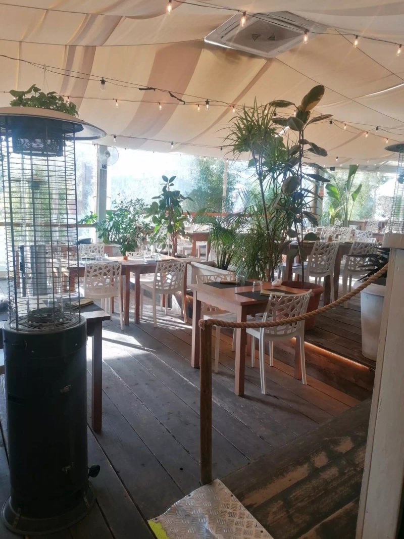 Frugale Food Garden