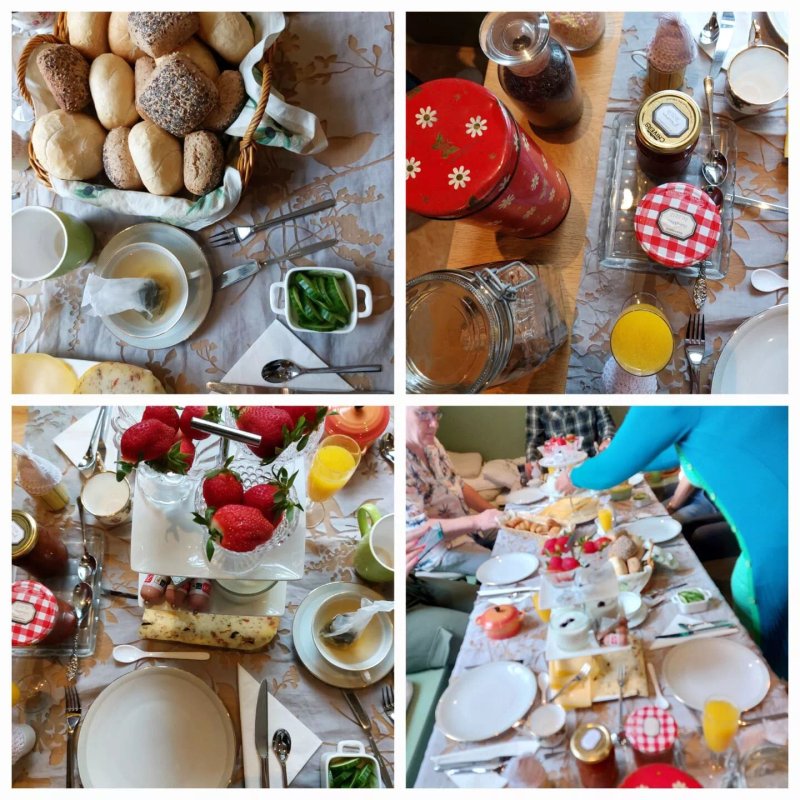 B&B Merel En Mos