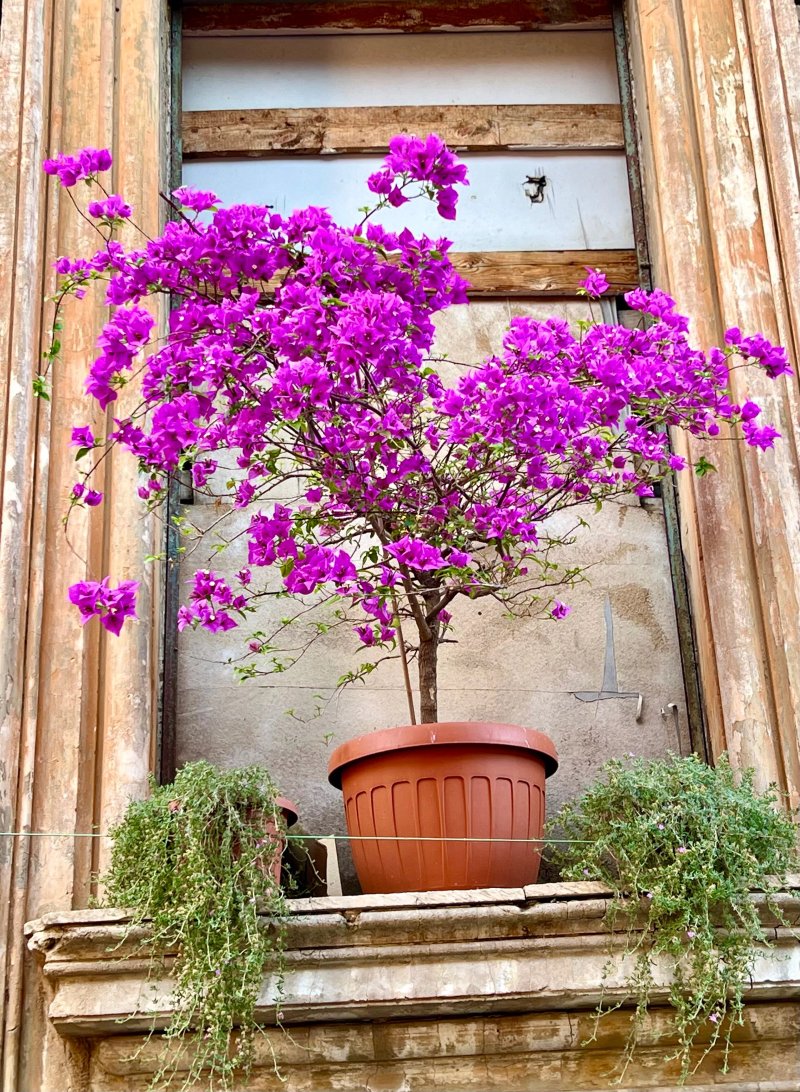 UNAHOTELS Trastevere Roma