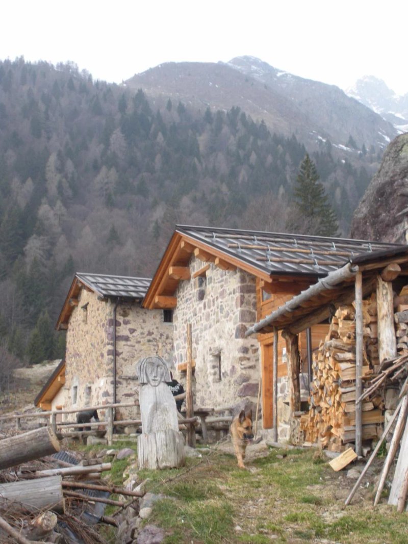 Agriturismo Ferdy d'Alpe