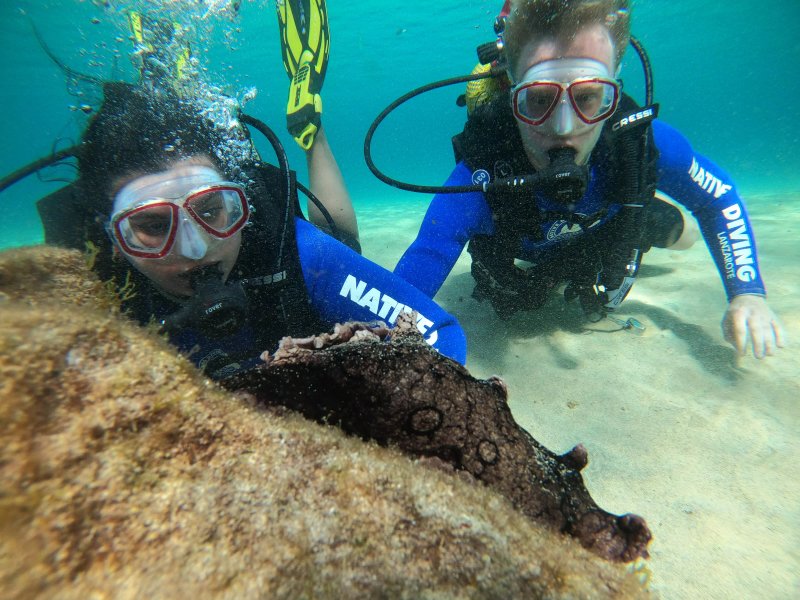 Native Diving Lanzarote