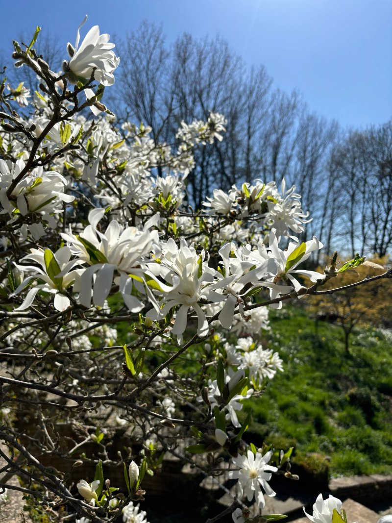 Whatley Manor