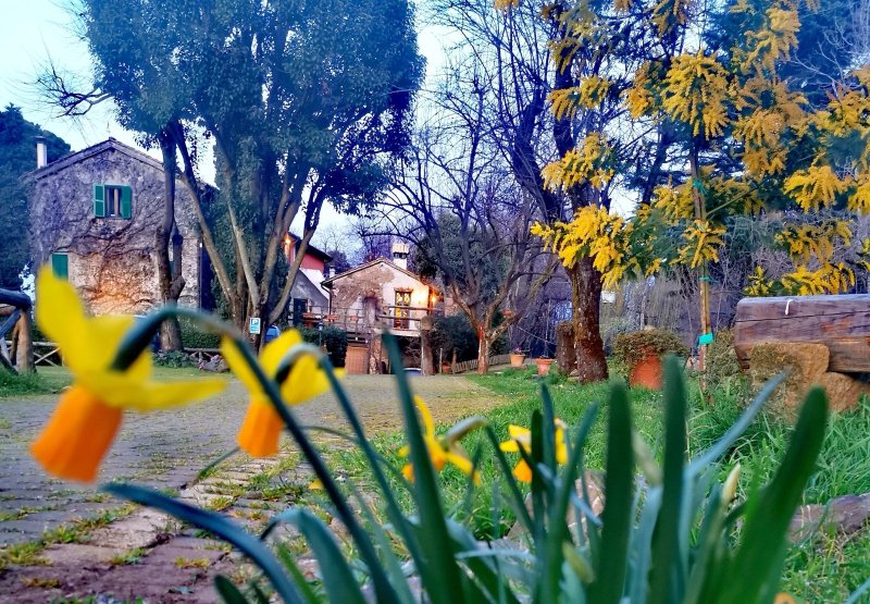 Il Casale Delle Streghe Ristorante