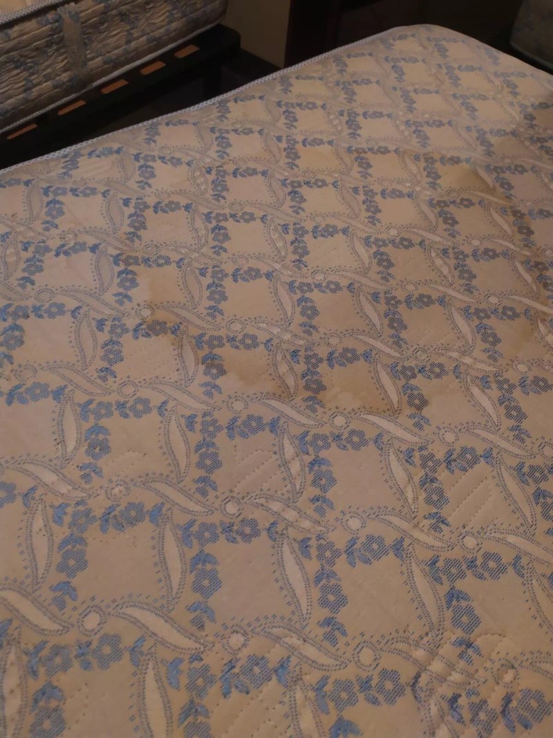 Villa del Fattore