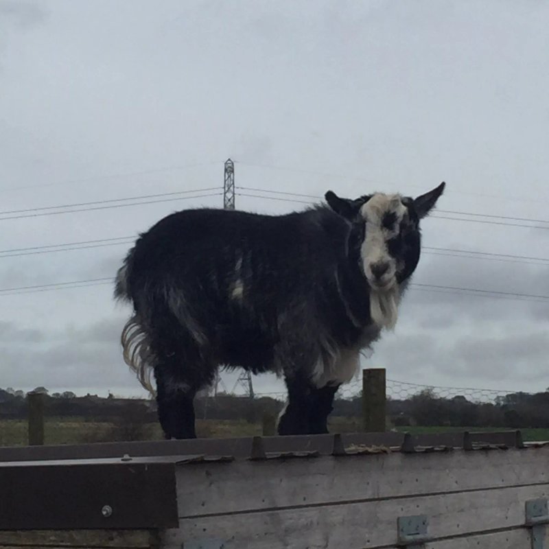 Moorhouse Farm Shop