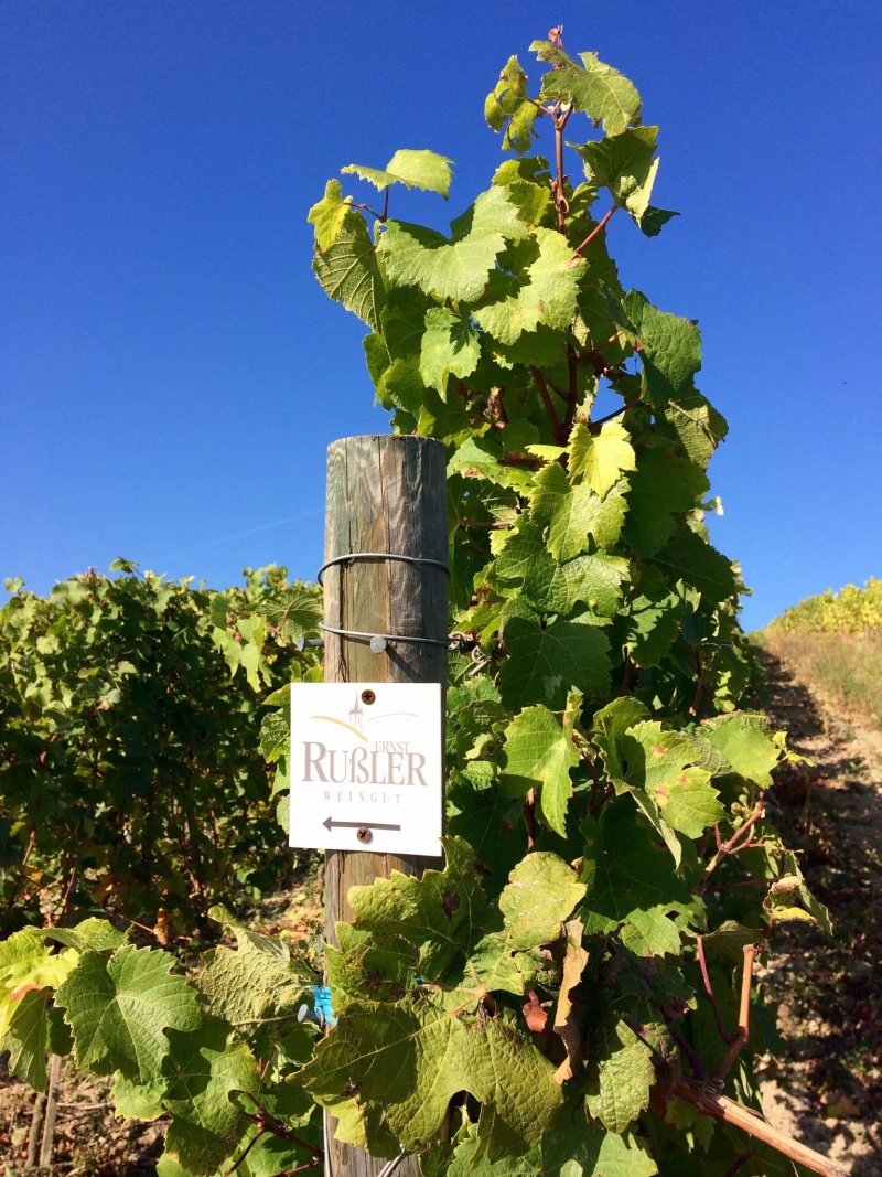 Weingut Ernst Russler