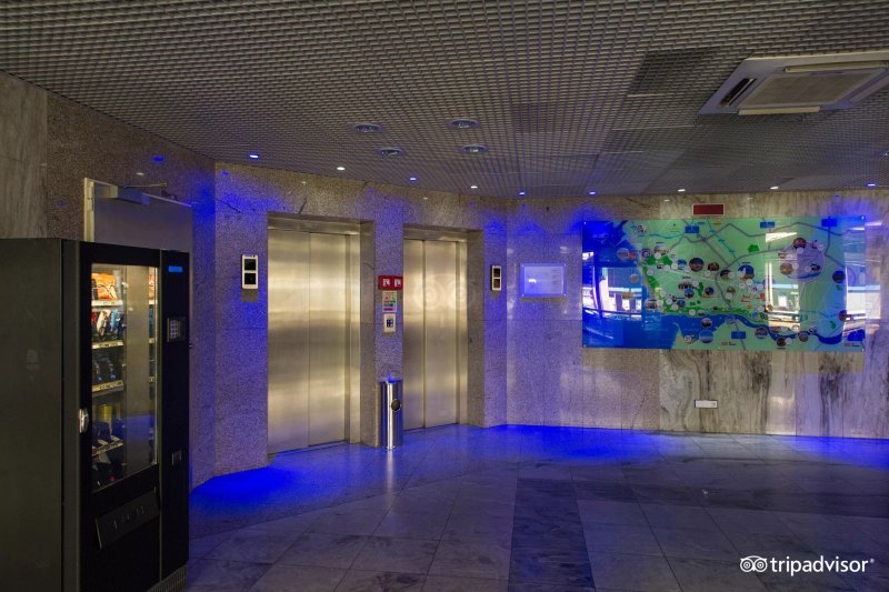 HF Fénix Porto