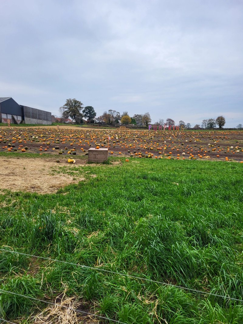 Arnprior Farm
