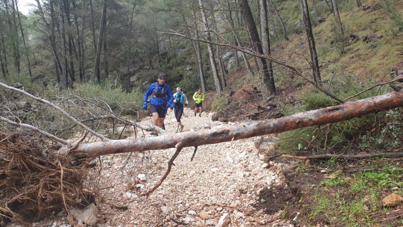 Barranco Del Berro