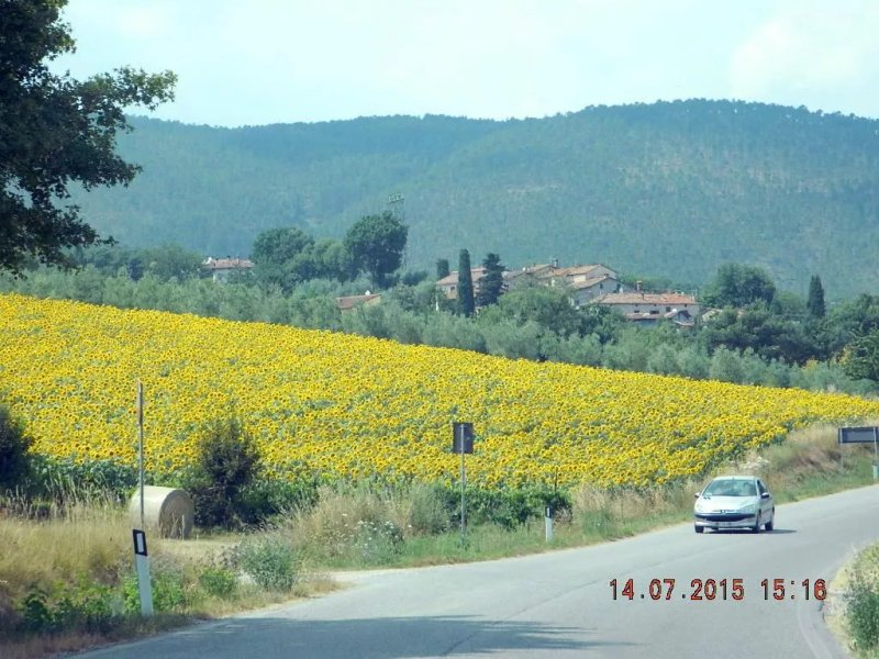 Relais Antonella