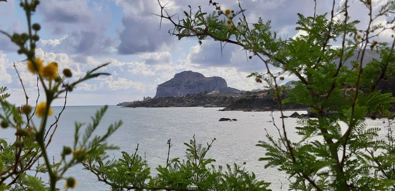 Baia degli Ulivi Apartments