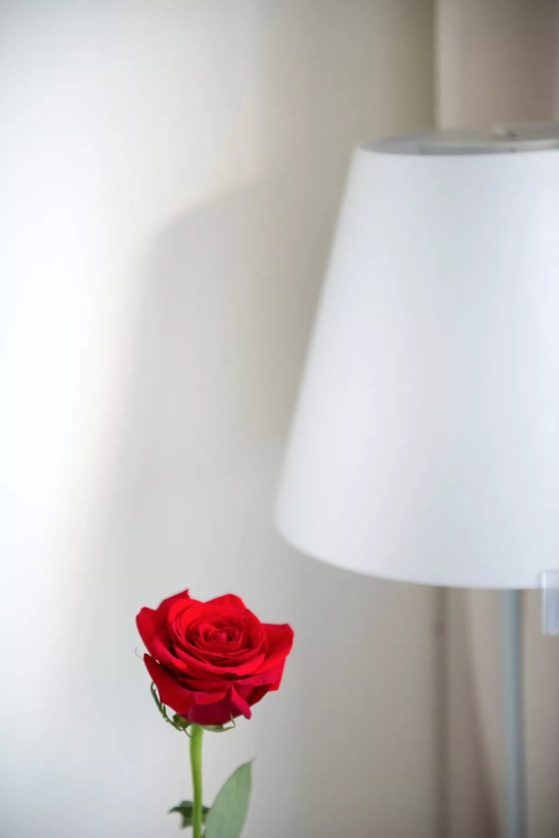 La Alcoba Del Agua Hotel Boutique