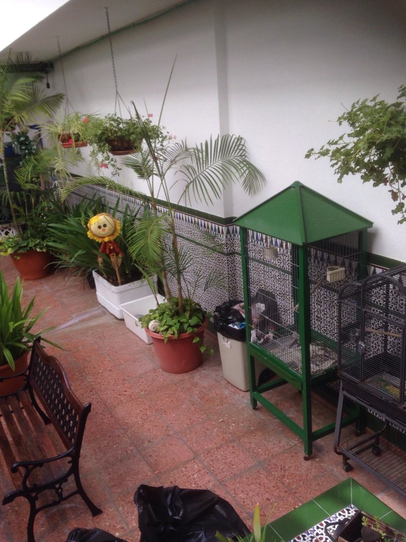 Apartamentos Los Marinos