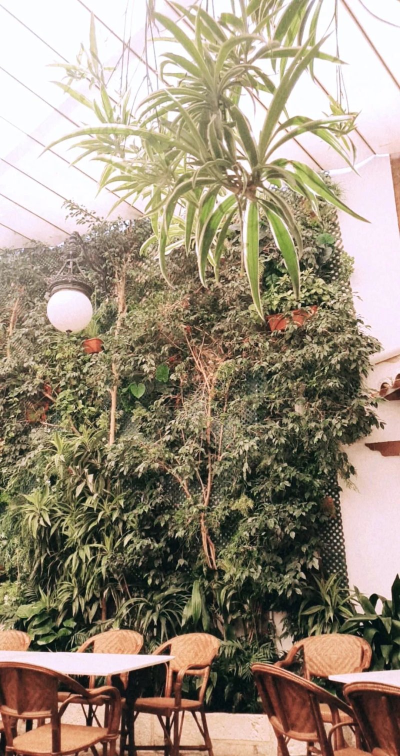 La Tahona