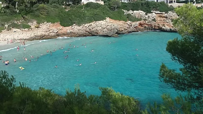 Club Jumbo Palma
