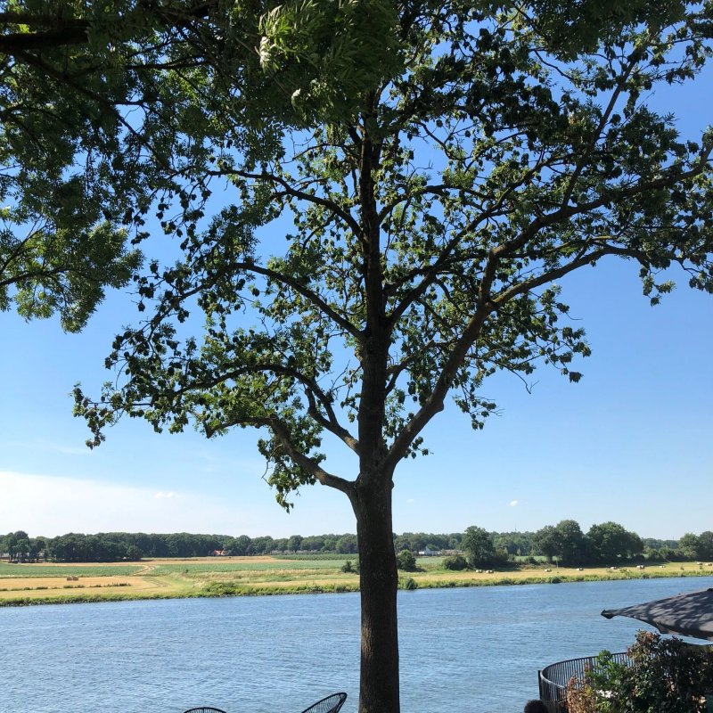 Het Raadhuys - Design B&B