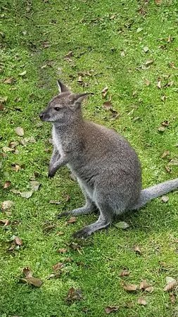 Animal Park Herford