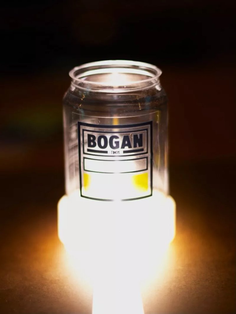 Bogan
