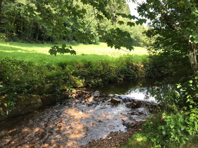 Camping Alpirsbach