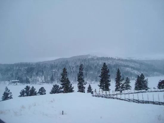 Tynset