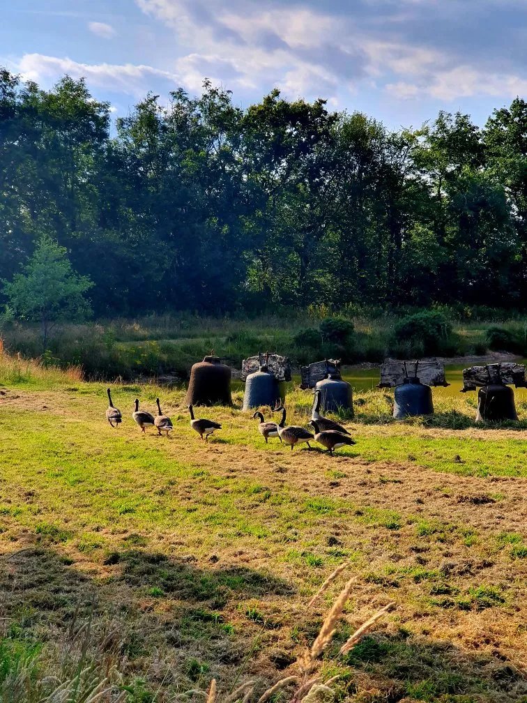 Knapps Farm B&B