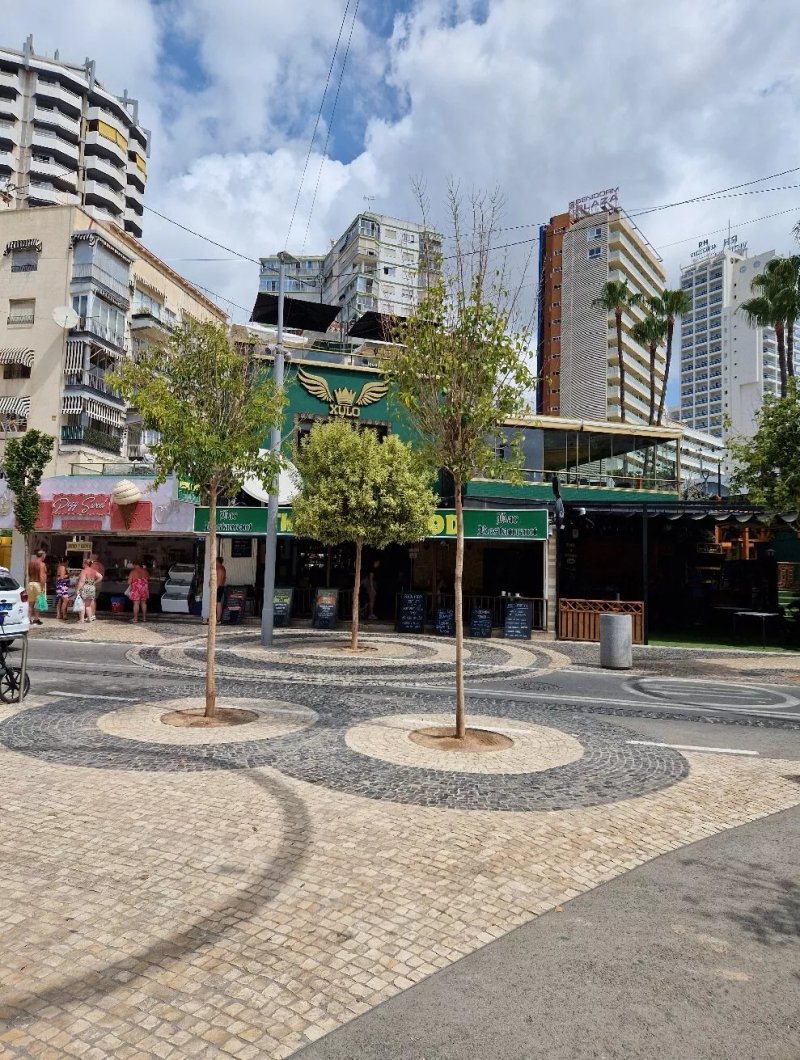 Bar The Robin Hood