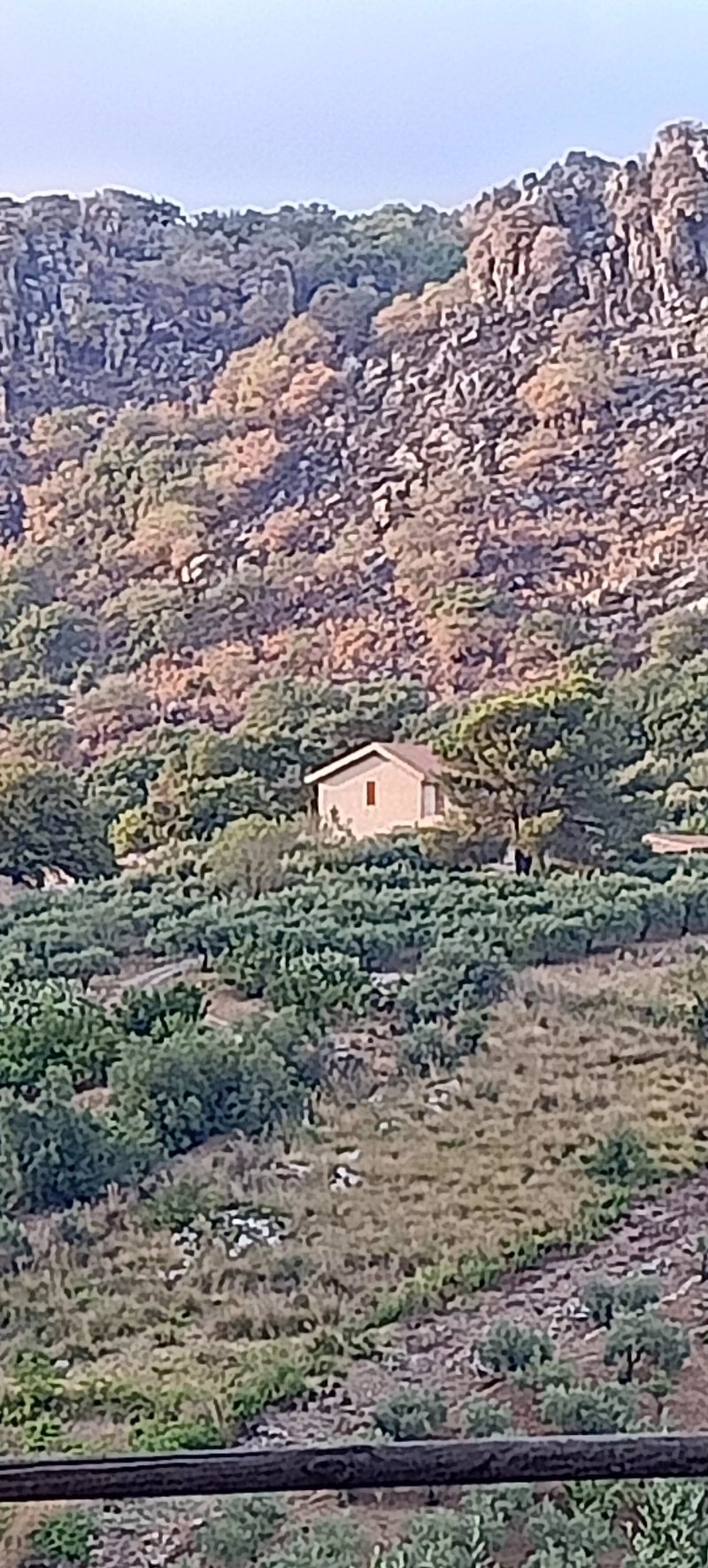 Al Poggetto