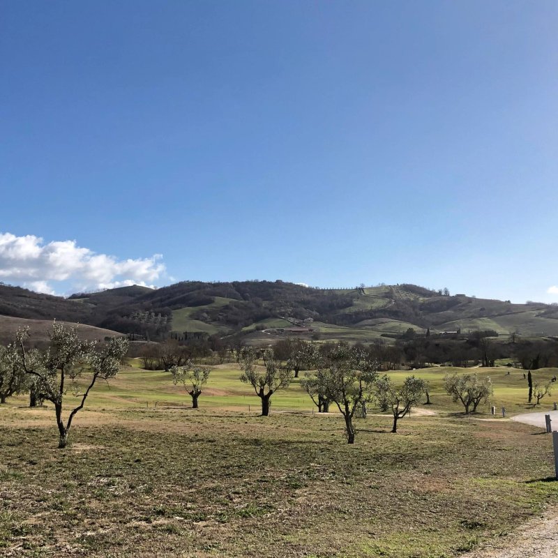 Agriturismo Il Nuovo Merendero di Vanni Neri