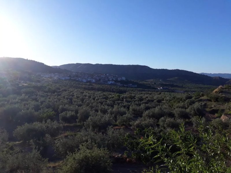 Casa Rural Cortijo Los Pradillos