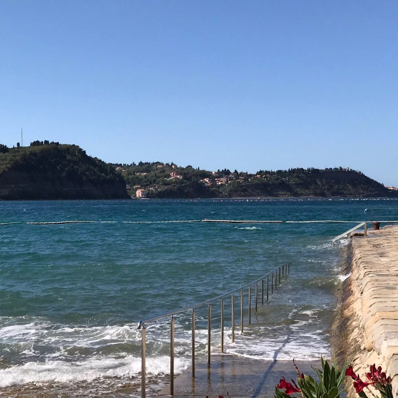 Villas Talaso Strunjan