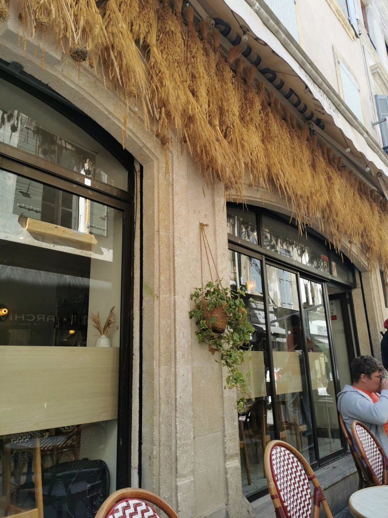 Camargue Social Club