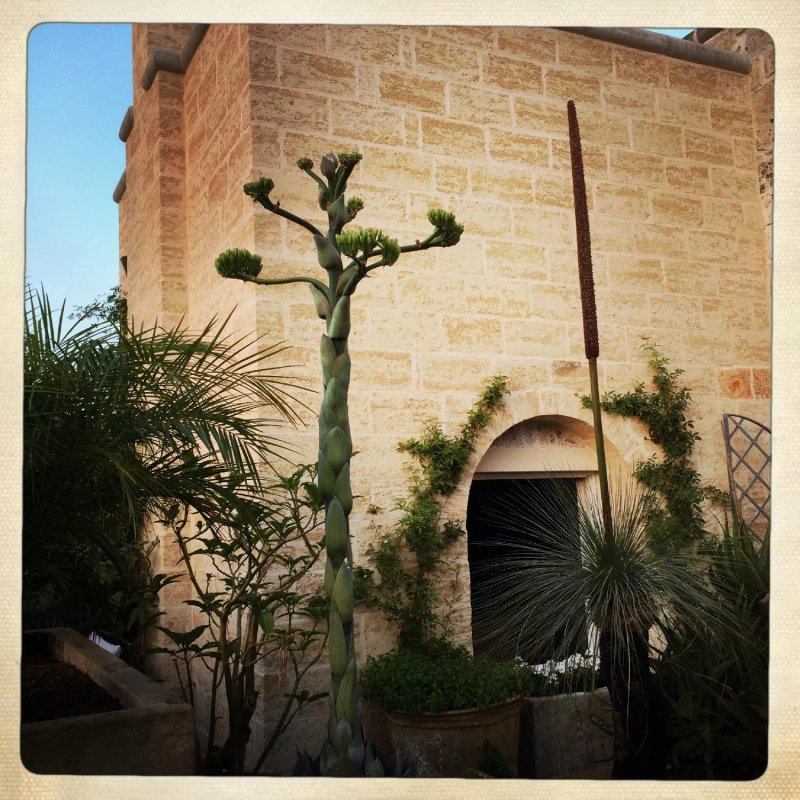Il Convento di Santa Maria di Costantinopoli