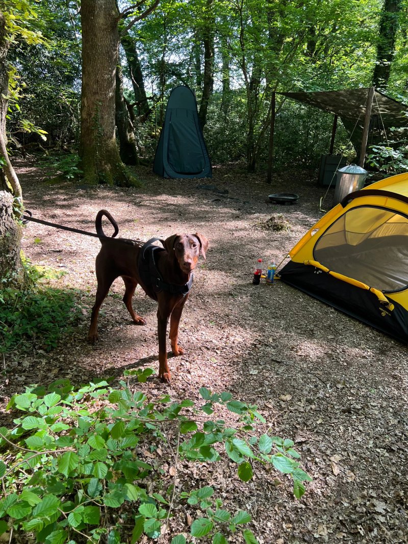 Hole Station Adults only Campsite