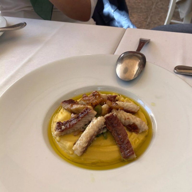 Travolta Athens