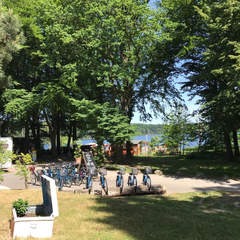Idyll am Wolgastsee Restaurant