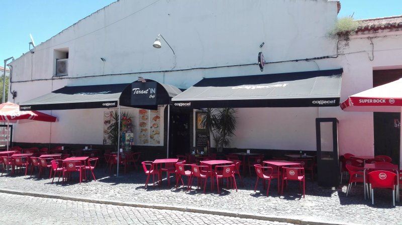 Tarant.informacao. cafe