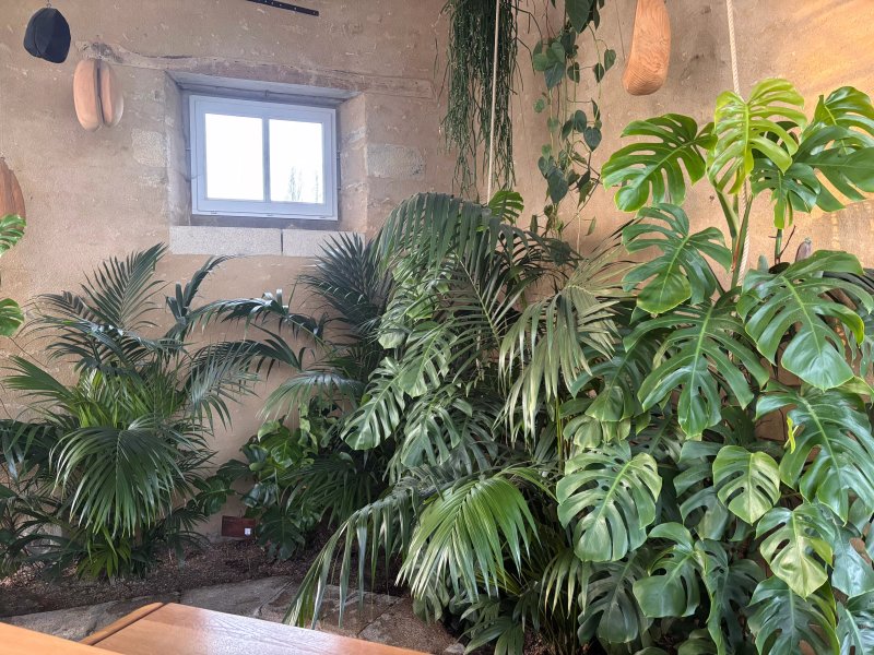 Domaine Le Mezo