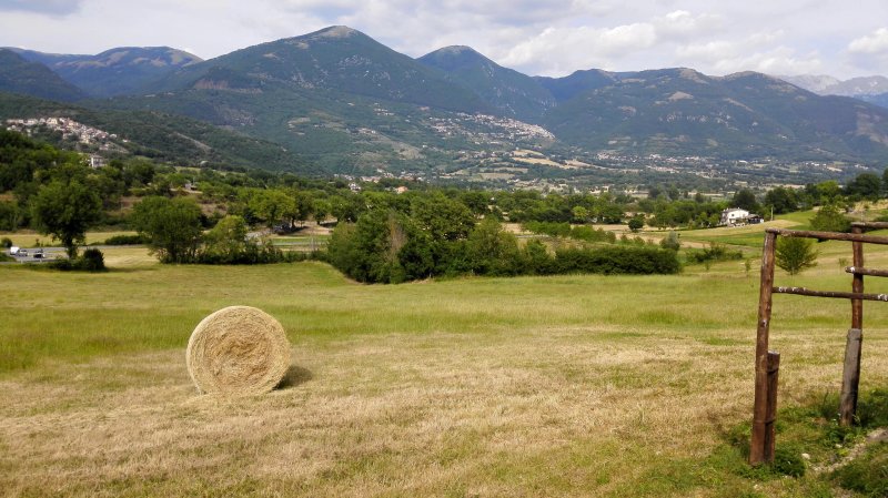Azienda Agricola Onofri Michela Braceria