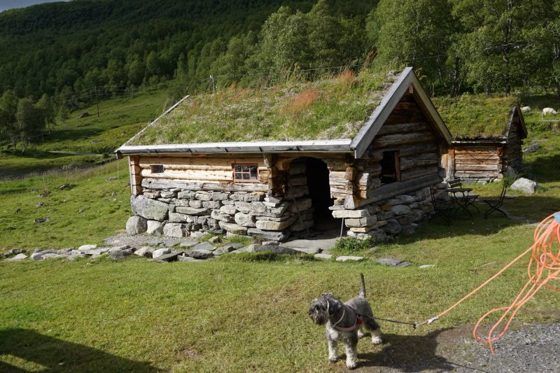 Renndølsetra