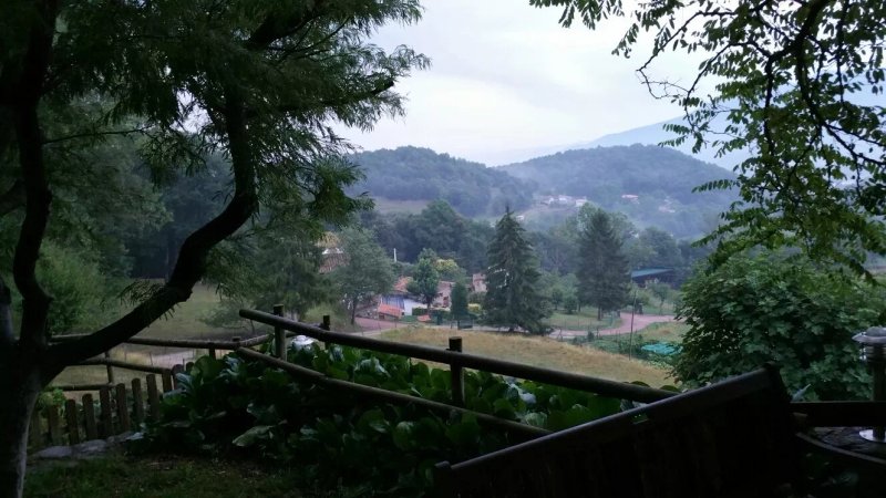 El Bosquet