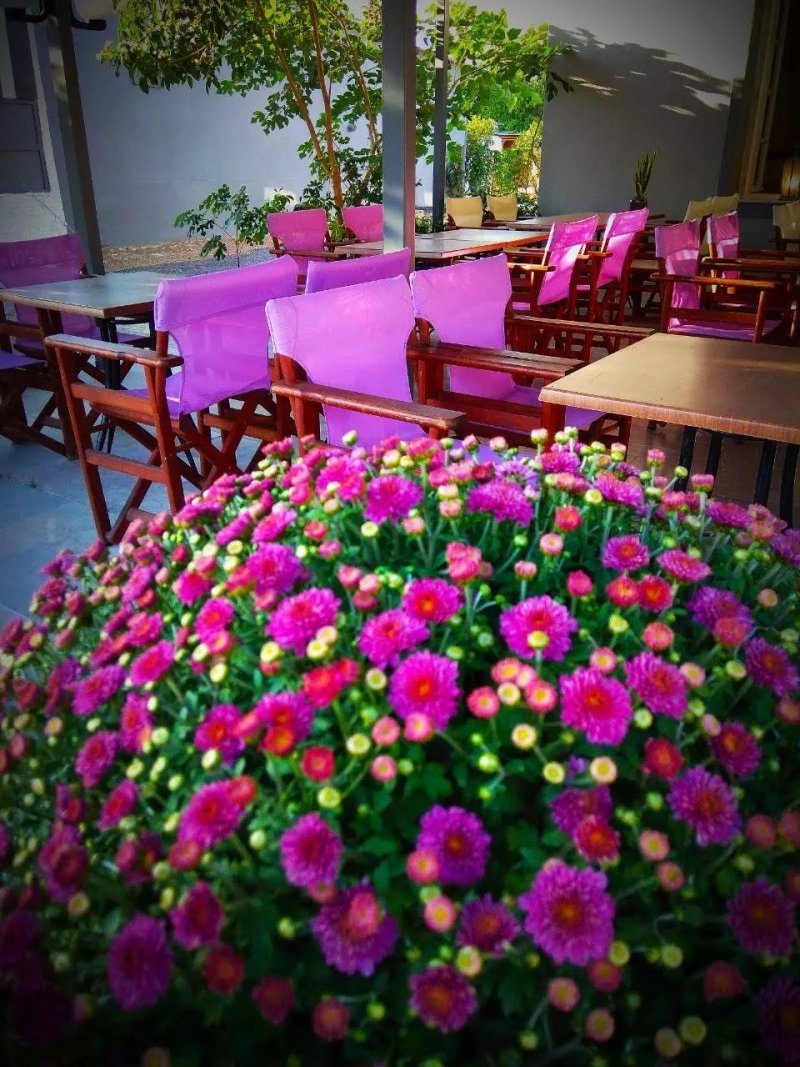 Melina's Taverna Restaurant