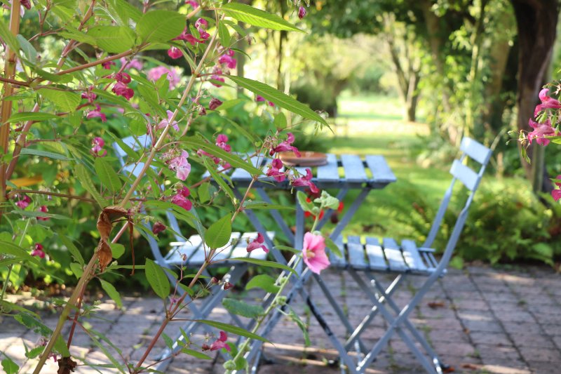 Le Jardin Sauvage