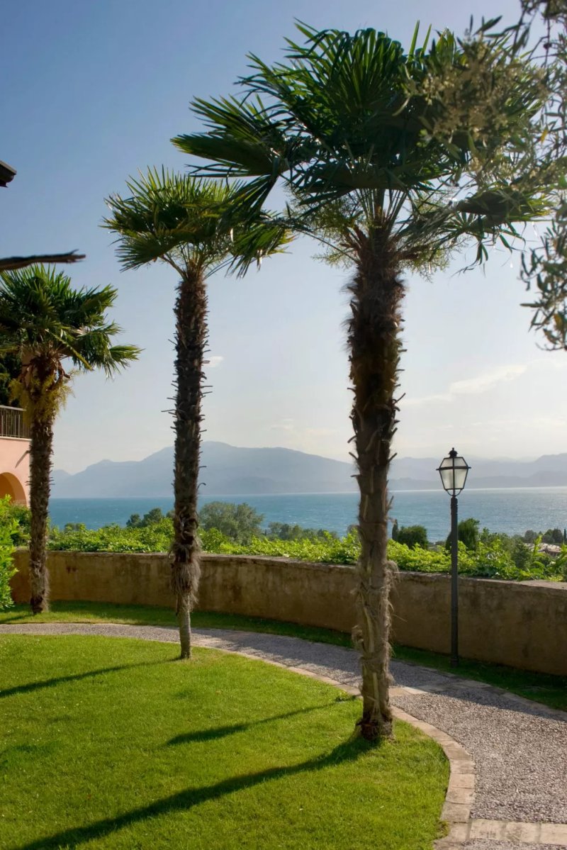 Castello Belvedere Apartments