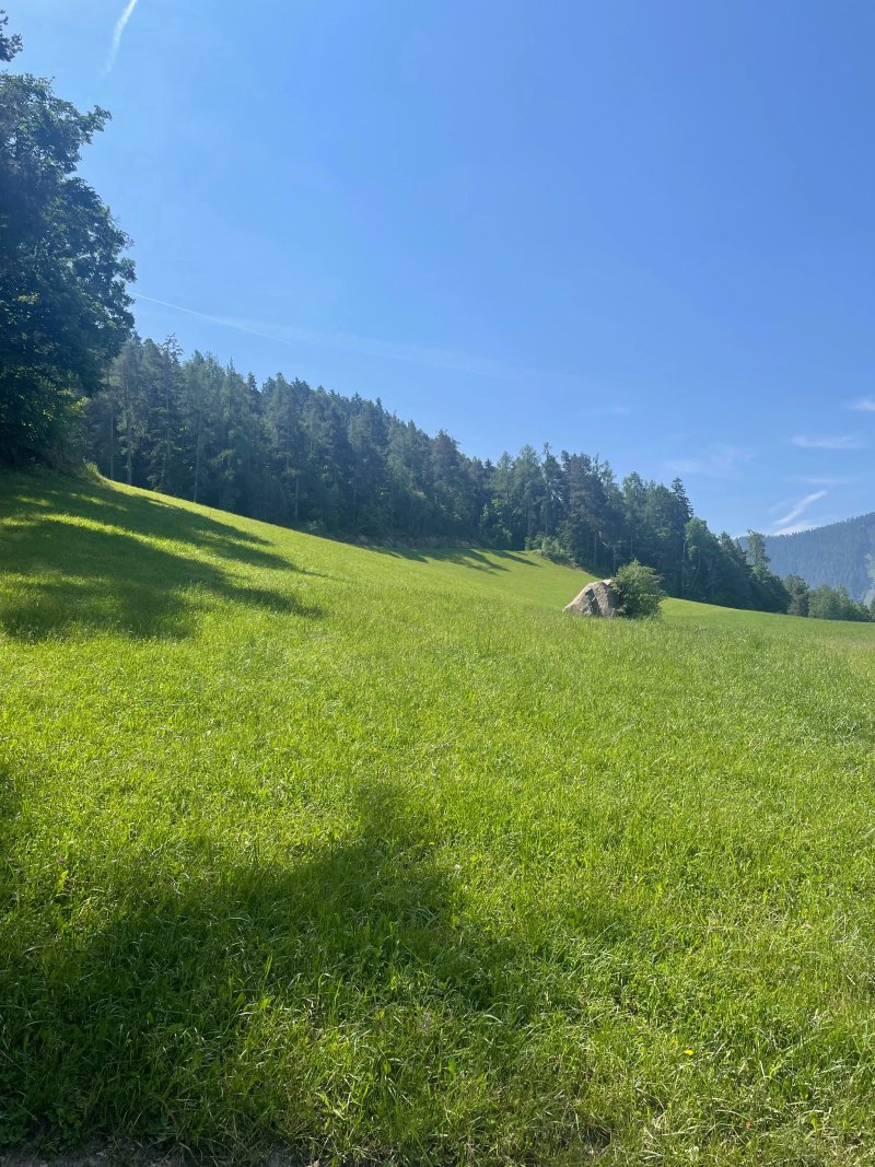 Wiedenhof