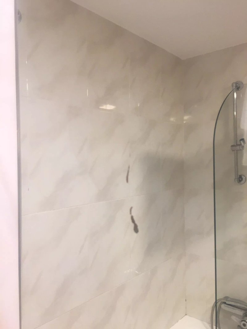 Gestion de Alojamientos Rooms & Apartments