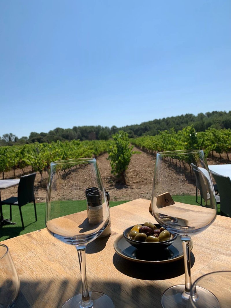 Le Clos des Vignes